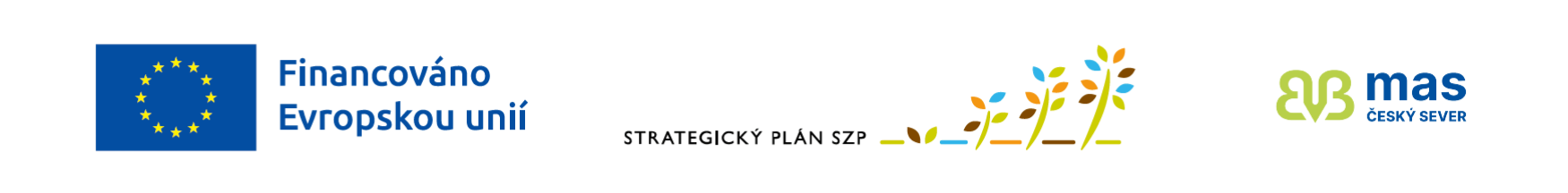 Návrh bez názvu (16)