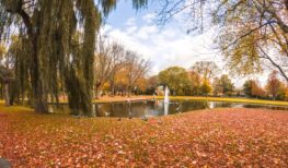 C:DCIM100GOPROGOPR9378.GPR