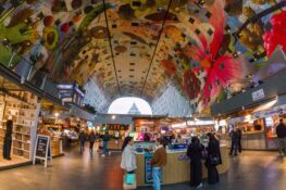 C:DCIM100GOPROGOPR9545.GPR